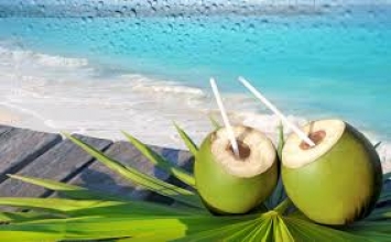 Uống nước dừa tươi khi về thăm quê nhà